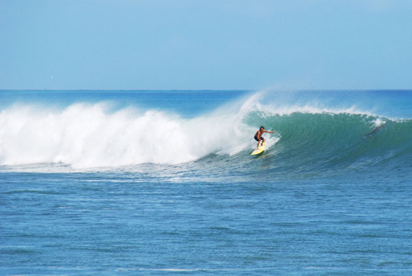 surfing Oahu